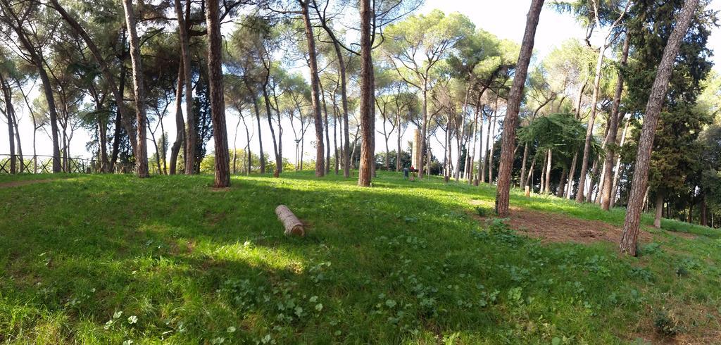 Holiday Home Roma Phòng bức ảnh